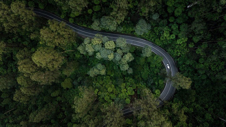 A beautifull road inside green forest 