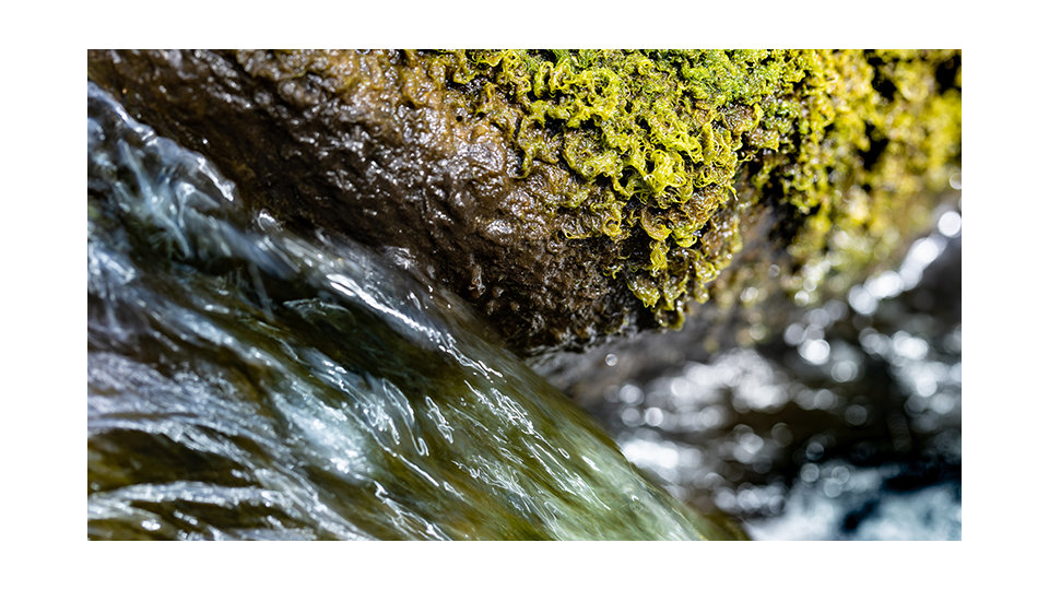 Explore the Microsoft Central and Eastern Europe, Middle East and