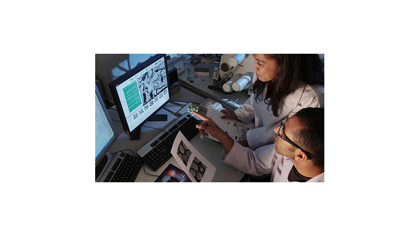 Two scientists working at a computer screen in a laboratory