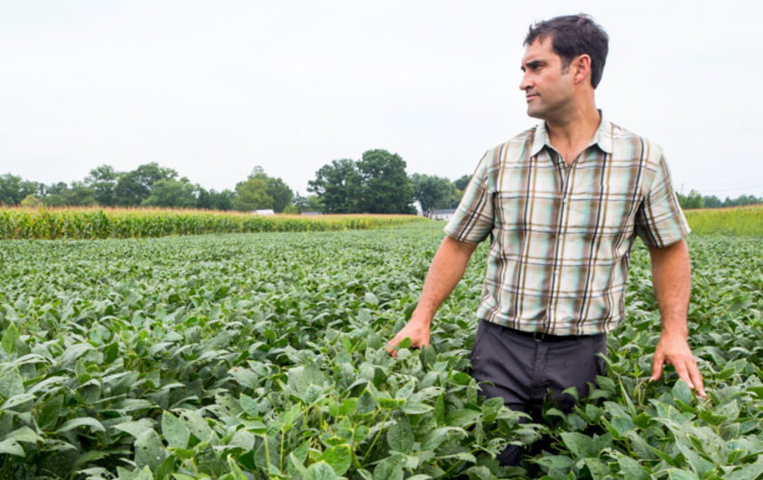 Photo of research ecologist Steven Mirsky in a field at the USDA's research farm in Beltsville, Maryland