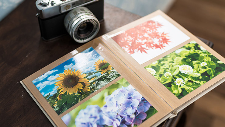  ひまわり、赤い紅葉、白いデイジー、紫陽花の4枚の自然プリントが表示された開いたアルバムと、暗い木製テーブルの上に置かれたヴィンテージカメラ。