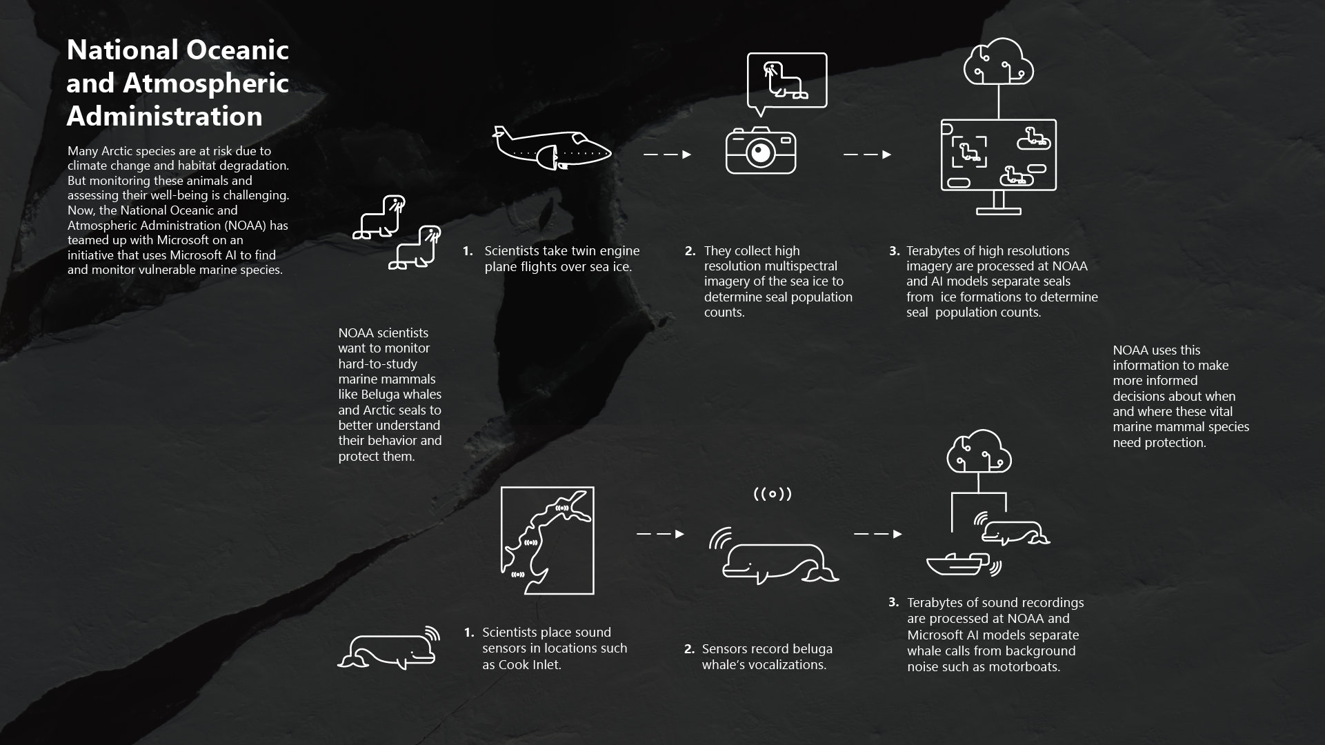 Navy FNMOC Infographic