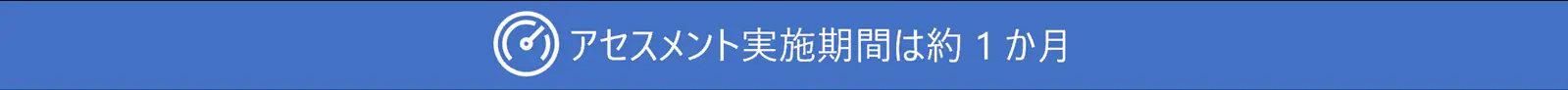 アセスメント実施期間は約 1 か月