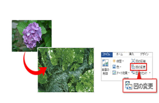 背景の写真を変更して、季節に合ったハガキに！/［図ツール］→［図の変更］をクリックして、 挿入したい写真を選択するだけでOK！