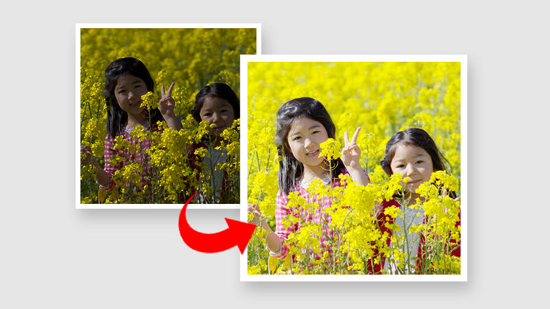黄色い花の畑で2人の小さな女の子との写真の明るさとコントラストを調整する画像