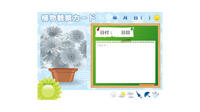 植物観察カード