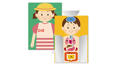 体のしくみパズル