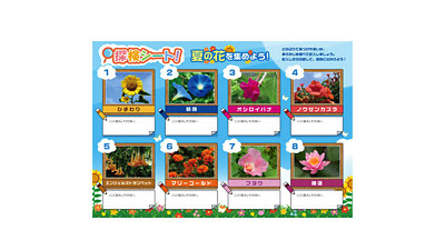 夏の花＆昆虫 収集シート