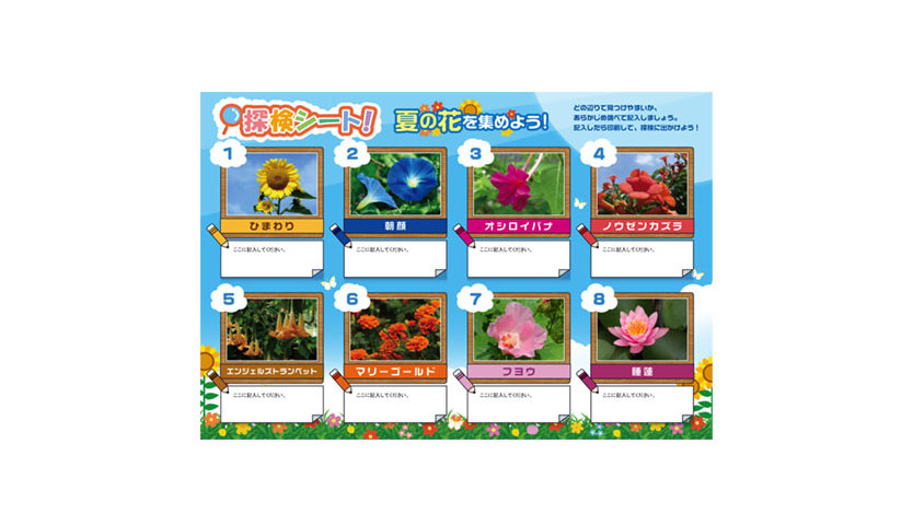 夏の花＆昆虫 収集シート