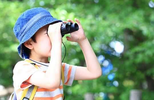 森で双眼鏡をのぞく少年