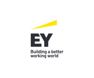 EYストラテジー･アンド･コンサルティング株式会社 のロゴ