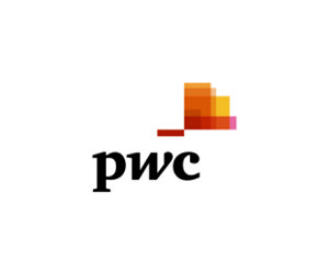 PwCコンサルティング合同会社 のロゴ