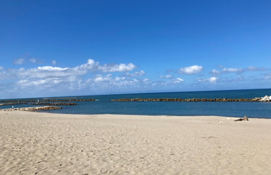 新潟の海と砂浜