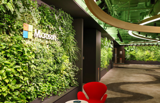 日本マイクロソフト本社 自然をテーマにしたオフィス 会議室エリア マイクロソフトロゴ入り