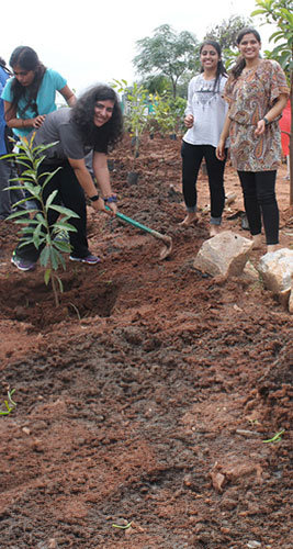 A group of people planting trees with 1 person holding a shovel