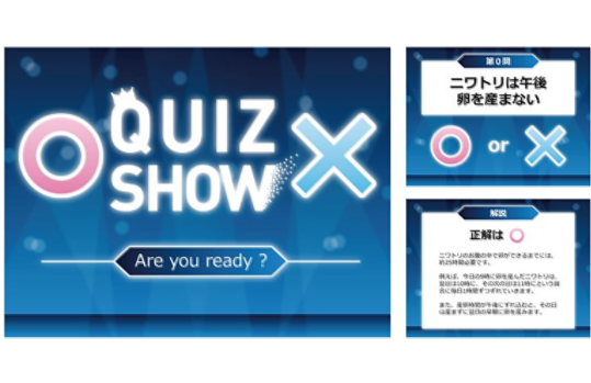 ○× クイズ大会 演出ムービー クイズ番組: 準備はできていますか?、ピリオド 0: ニワトリは午後に卵を産みません。正解は: ニワトリが卵を産むまでに約 25 時間かかります。