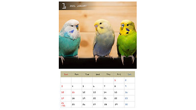 止まり木にとまる3羽のカラフルなセキセイインコを描いた、縦型のA4月間カレンダーのプレビュー。