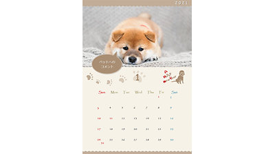 横たわる柴犬の子犬をあしらった、A4縦型月間カレンダーのプレビュー