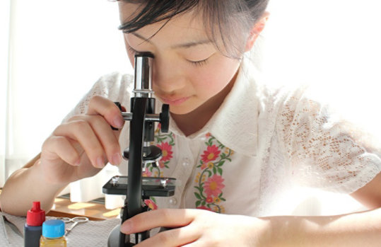 学生はセル構造オブジェクトで何かを見ます。
