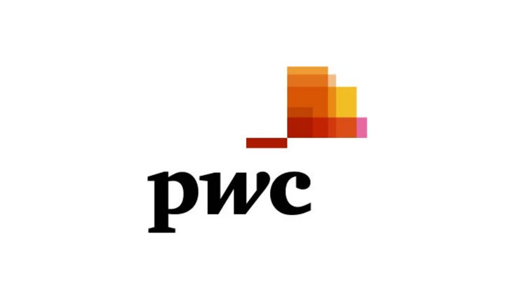 PwCコンサルティング合同会社ロゴ