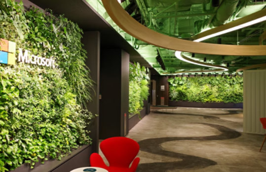 緑の植物の壁、曲線状の天井照明が特徴の屋内マイクロソフトオフィス空間。左の壁にマイクロソフトのロゴが表示されている。