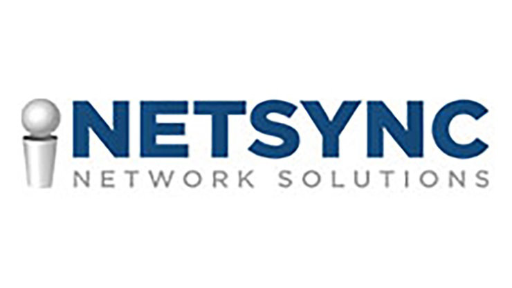 Netsync Network Solutions, Inc. logo