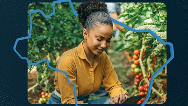 Pessoa usando tablet em plantação, com plantas e tomates ao redor e contorno do Brasil.