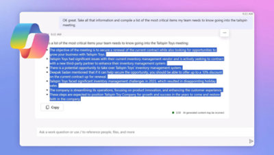 An image showing prompt reply from copilot.