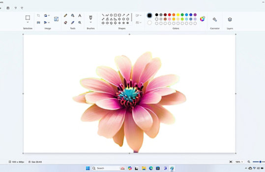 En färgglad blomma i Paint-appen
