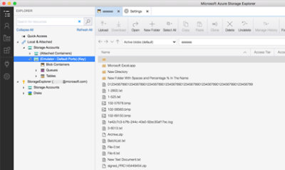 用户正在查看存储资源管理器中的活动 blob
