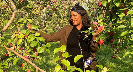 Patricia Kimvuidi is picking apples from trees 