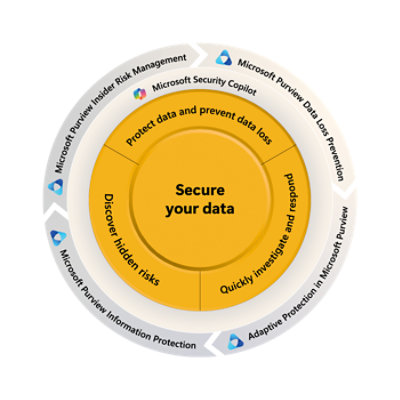 Circular diagram centered around "secure your data," with five segments detailing data security steps by microsoft