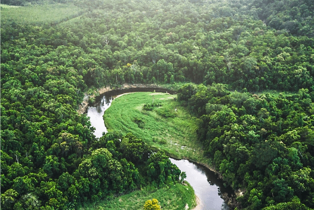 Вид с высоты птичьего полета на излучину реки и окружающий ее пышный лес