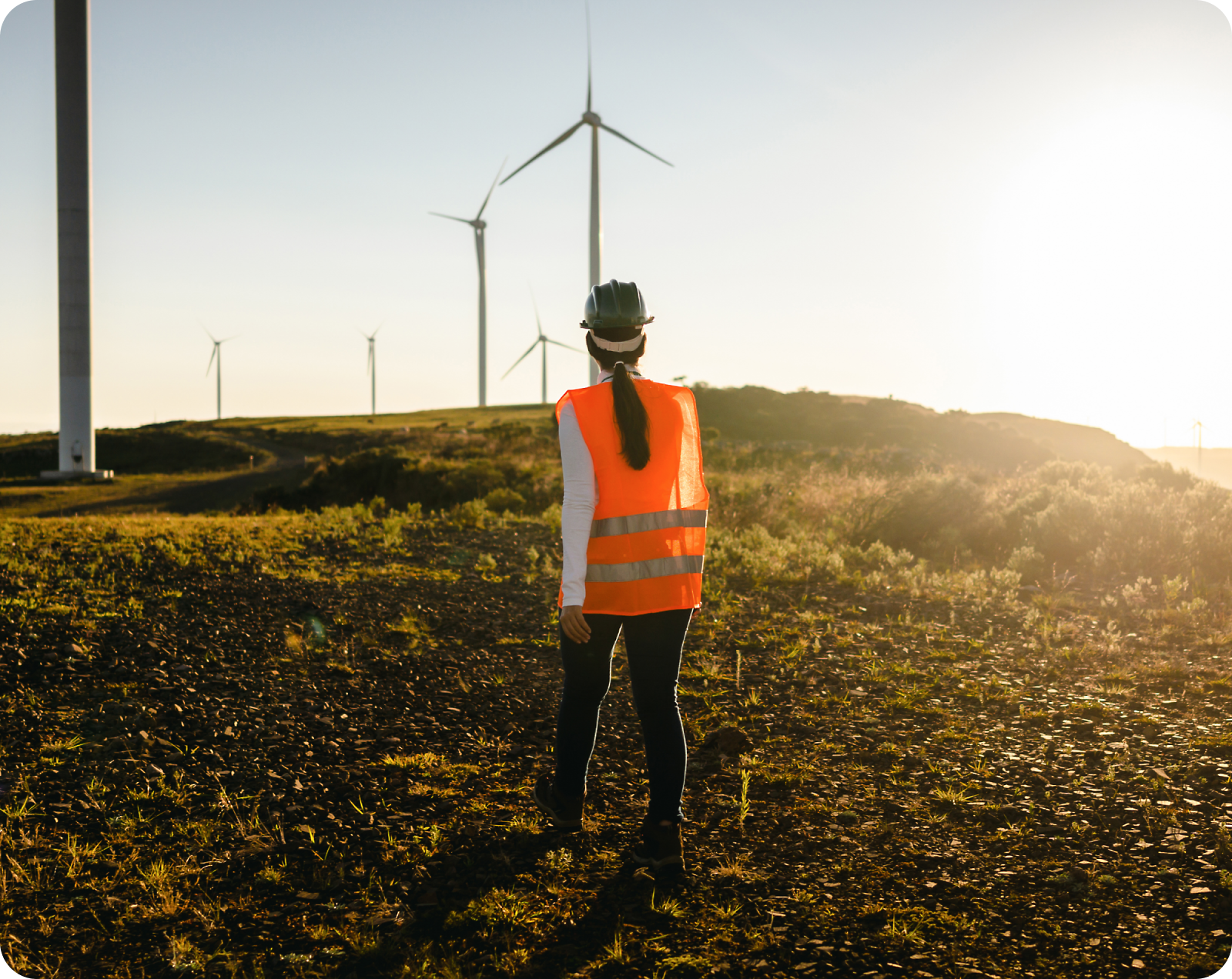 A person wearing a hard hat and orange safety vest stands in a field, looking at wind turbines during a sunset.