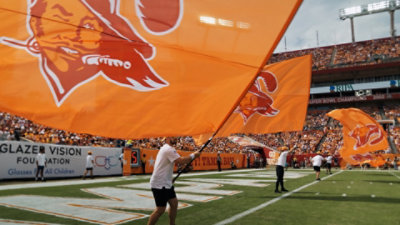 A person holding a flag on ground infront of people in stadium