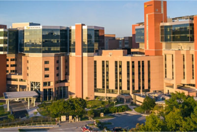 The New York City skyline