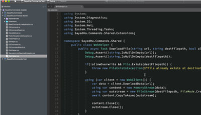 A debug code titled WebHelper in Visual Studio.