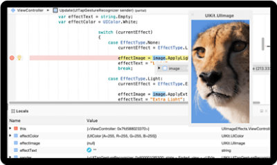 An image of a cheetah being identified in code in Visual Studio for Mac